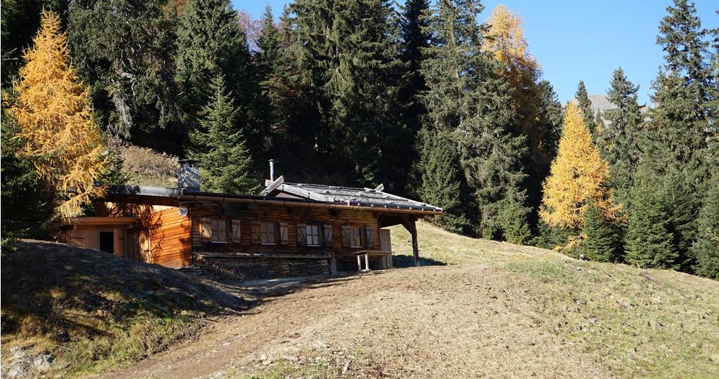 Untere Gewingesalm